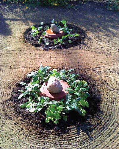 What’s the Best Underground Irrigation Method?